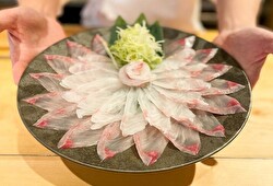 株式会社ザガット(銀座中俣／ふぐ中俣) 求人 未経験から始めたメンバーも多く活躍してます！魚を極めたいなら、是非当社へ！応募から内定まで2週間程です。