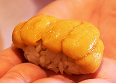 『新宿御苑前 鮨らぼ』『鮨アカデミー 樹』etc.／東京すしアカデミー株式会社 求人 おまかせ”でお出しする寿司の組み立てや演出力を通じて、あなたの職人技とコミュニケーション力を存分に発揮できる職場！