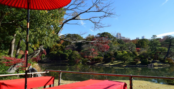 公益財団法人　東京都公園協会 求人