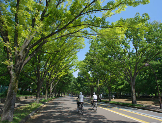 公益財団法人　東京都公園協会 求人 完全週2日で年間休日126日と、お休みも多く働きやすさもバツグン。賞与も昨年は3か月分の支給実績があります。