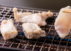 つち田 求人 ふぐを様々な料理で提供しているので、みなさんの料理スキルを思う存分発揮できます。