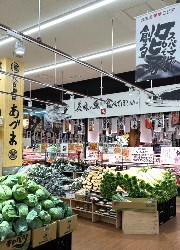 『食生活♥♥ロピア』／株式会社OIC グループ 求人