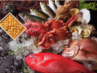 合同会社どまんなか 求人