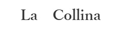 株式会社Pecchia/La　Collina（ラ・コリーナ） 求人情報