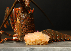 「鮨 よこ田」「天冨良 よこ田」 求人 