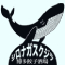 シロナガスクジラ／株式会社Daily growth 求人情報