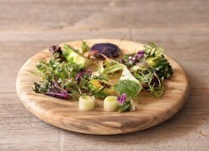 『RISTORANTE DA FIORE』『GERMOGLIO』／株式会社モデルノ 求人 「ネイチャーポジティブ」の考えを推進し、食と自然環境のあり方を考えながら豊かで美しいレストランを目指しています。