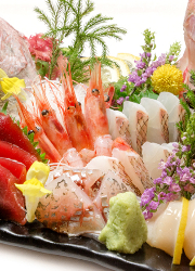 株式会社 つきぢ神楽寿司 求人