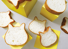 株式会社オールハーツ・カンパニー 求人 