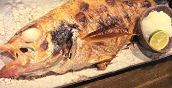 とらくまもぐら 求人