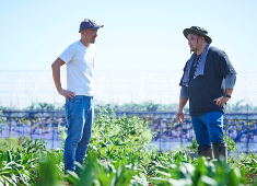 MOTORA Italian restaurant／NIHIRO 一皿一皿に生産者さんの想いを紡いで。