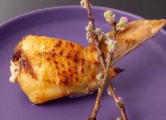 「うしお 銀座」「焼鳥 燃暖」 求人 