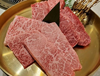 大宮苑／株式会社はーと 求人