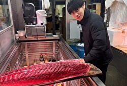 株式会社ザガット(銀座中俣／ふぐ中俣) 求人 希望者は豊洲の仕入れに参加できます！☆手当別支給、場内店舗の美味しいランチ付き、自由参加です。