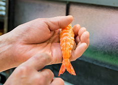 株式会社 つきぢ神楽寿司 求人 「酢で〆る」「煮る」「醤油に漬ける」など丁寧な仕事を大切にしています。