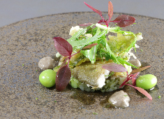 リゾートトラスト株式会社（ベイコート倶楽部・サンクチュアリコート・エクシブ） 求人 