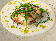 「鉄板焼き Sublime」「フレンチ Sublime」「鮨 Sublime」 求人 