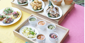 10T株式会社（MAYA） 求人