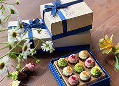 株式会社モンロワール 【ベルプラージュ】「チョコレートマニアのカモメが作る」ブランドストーリーがユニークなアイデアのチョコレート☆