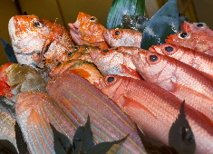 すし 辰ノ屋（たつのや）／大辰魚類株式会社 求人 