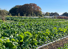 株式会社BUB 「素材の魅力、生産者さまの想い、そして見た目の美しさ」をコンセプトに地元で採れた食材を用いた料理を提供中！