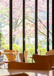 La Terrazza （ラ・テラッツァ） 求人