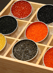 「鮨 よこ田」「天冨良 よこ田」「鉄板焼きYOKOTA」 求人