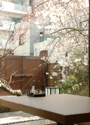 株式会社 トスク東京 求人