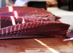 『すし 旬鮮料理 しゃり膳 船橋店・北習志野店・新鎌ヶ谷店』／有限会社しゃり膳 求人 仕入れ専属の担当がいる為、仕入れによる無理な早朝出勤などは無し！寿司ジャンル特有の無理な働き方にならない様に調整！