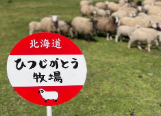 株式会社 Miso Soup 求人 当社の為だけの羊を育ててくれている農場との提携や、農園も運営中。食材へのこだわりは育てるところから始まっています！