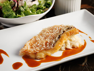 『Cafe&Restaurant STELLA』BABY TATTOO株式会社 求人