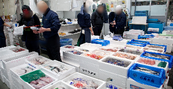 すし 辰ノ屋（たつのや）／大辰魚類株式会社 求人