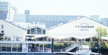 株式会社タイソンズアンドカンパニー 求人