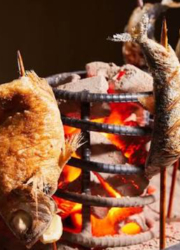 『炉端 小寅』『赤坂米ぎん』『Aju trattorìa』『YOLO cafe&bar』 etc.／株式会社レストレ 求人