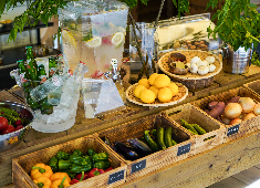 「東京ブイヤベース食堂/タニタカフェ」株式会社 百万一心社 求人 多角的に事業展開するチャレンジスピリッツ溢れる会社！