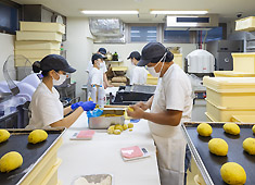 天然酵母パンの店 サンセリテ 向ヶ丘遊園サーカス etc.／株式会社サンセリテ 求人 若手が経験したきた事を存分に発揮できる環境です。