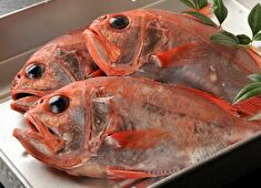 回転寿司 沼津すし之助／株式会社ジャンティーズサプライ 求人 スタッフの活躍の場を増やす意味での新規出店も計画中。キャリアアップを狙うアナタにも最適です！