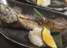 炭火KoKoRo／株式会社En richi Life 求人 焼鳥、魚炭焼き、鮮魚、酒の肴、「うまい」をたくさん学べる環境です！