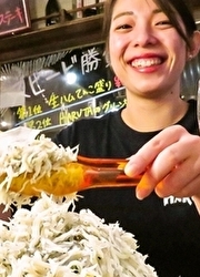 株式会社グリーンコーポレーション／『大衆ビストロ ハルタ』『イタリアン酒場 HARUTA』大衆酒場 春田屋』etc 求人