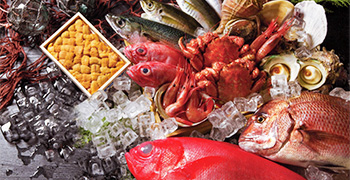 夢や 芭蕉亭／魚河岸料理 夢や／株式会社アーク 求人