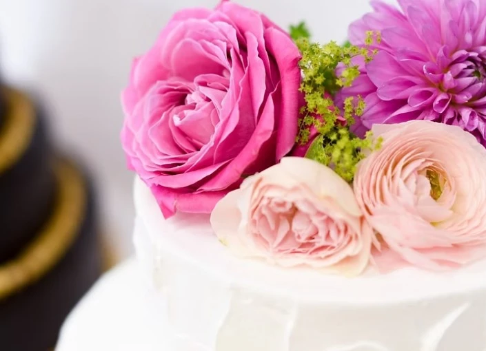株式会社シナジーリンク／PORTE NOIR 平和島スタジオ 求人 