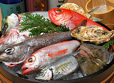 炭酒場カミナリ屋／やきとりにしだ家、他／有限会社カミナリ屋 求人 新鮮な魚介類を使用した料理は絶品！！鮮魚を扱える方・・優遇いたしますよ☆