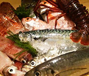 鮨 裕（SUSHI YUTAKA） 求人