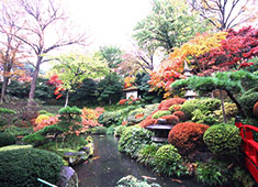 懐石 鶯啼庵 （おうていあん) 求人 ココにしかない勤務環境で、他ではできない経験をしましょう！