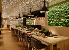 HATAKE CAFE／株式会社アイビーエフ・アール 求人 開放的な店内で地下に居るのに木漏れ日を感じさせる、温かみのある空間。