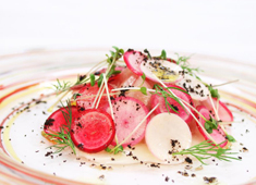 Ristorante ACQUA PAZZA（アクアパッツァ） 求人 確かな技術と独創的なアイデアが詰まった料理を提供しています。