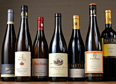 ワールドリカーインポーターズ株式会社／※新店舗開業準備室 求人 お酒の輸入商社が展開するので、ホール希望のかたはもちろん、料理人でもお酒のプロフェッショナルを目指せます！