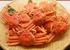 旬菜魚 藍 求人 佐賀関や丹後や瀬戸内海をはじめ、各地から極上食材が入荷されます！