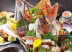 A,快飛本店　B,快飛ラスカ茅ヶ崎店 求人 相模湾で獲れた魚を提供しているのでさばける方歓迎です。