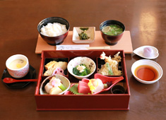 和食カフェ＆レストラン「桜茶寮」／株式会社ノムラデベロップメント（乃村工藝社グループ／東証1部上場企業） 求人 日本の食文化の素晴らしや奥深さを表現したメニューを国内外の多くのお客様に楽しんで頂きましょう。